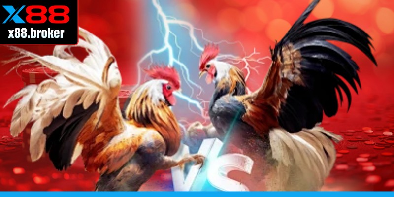 Hình thức chơi có tỷ lệ cược cực linh hoạt