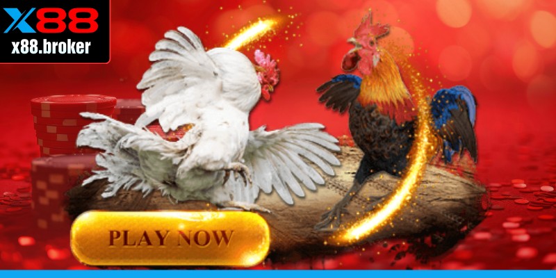 Quy định rõ ràng có trong hình thức chơi