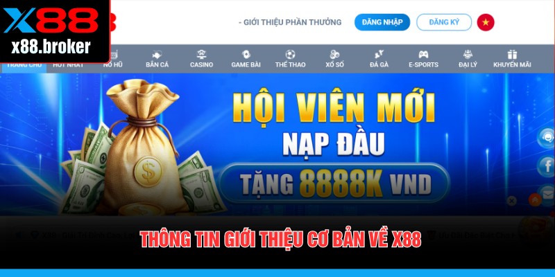 Thông tin giới thiệu cơ bản về X88